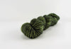 Fern