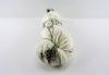 Scotch Moss