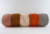 Five Skein Kit #1